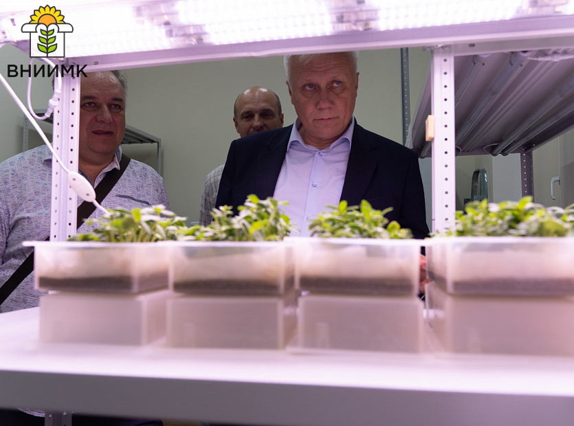 ВНИИМК-посетила-делегация-из-«Научно-практического-центра-НАН-Беларуси-по-земледелию»-8