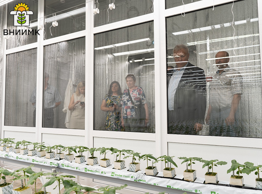 ВНИИМК-посетила-делегация-из-«Научно-практического-центра-НАН-Беларуси-по-земледелию»-7