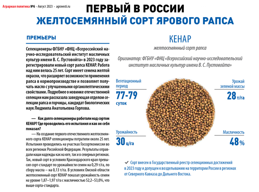 Первый-в-России-желтосемянный-сорт-Кенар-