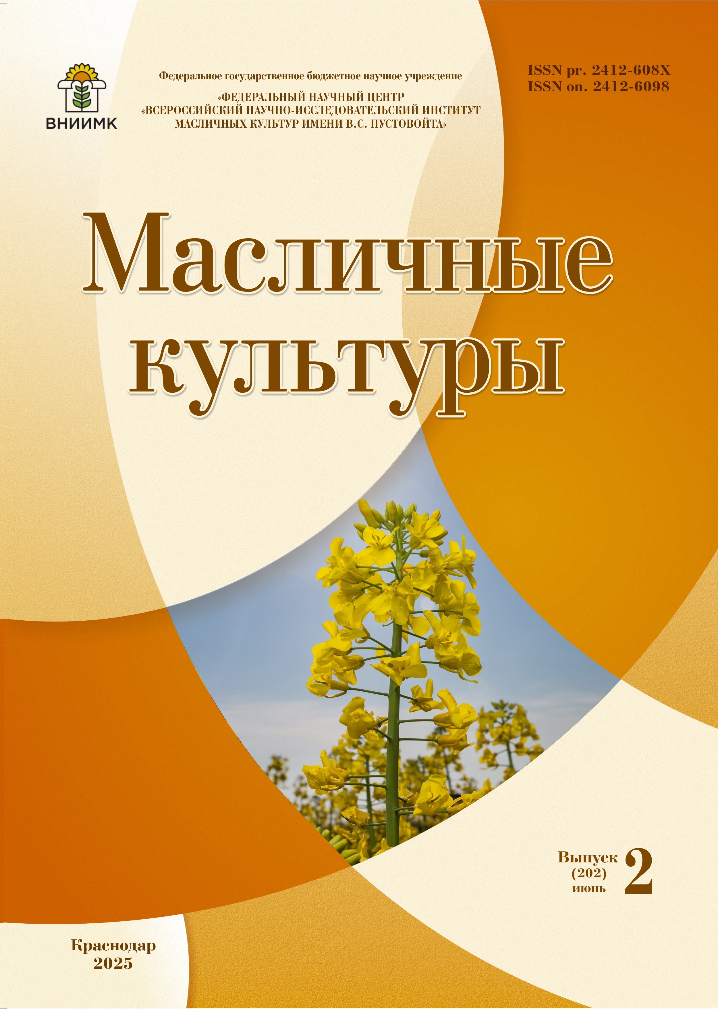 Обложка на сайт.jpg