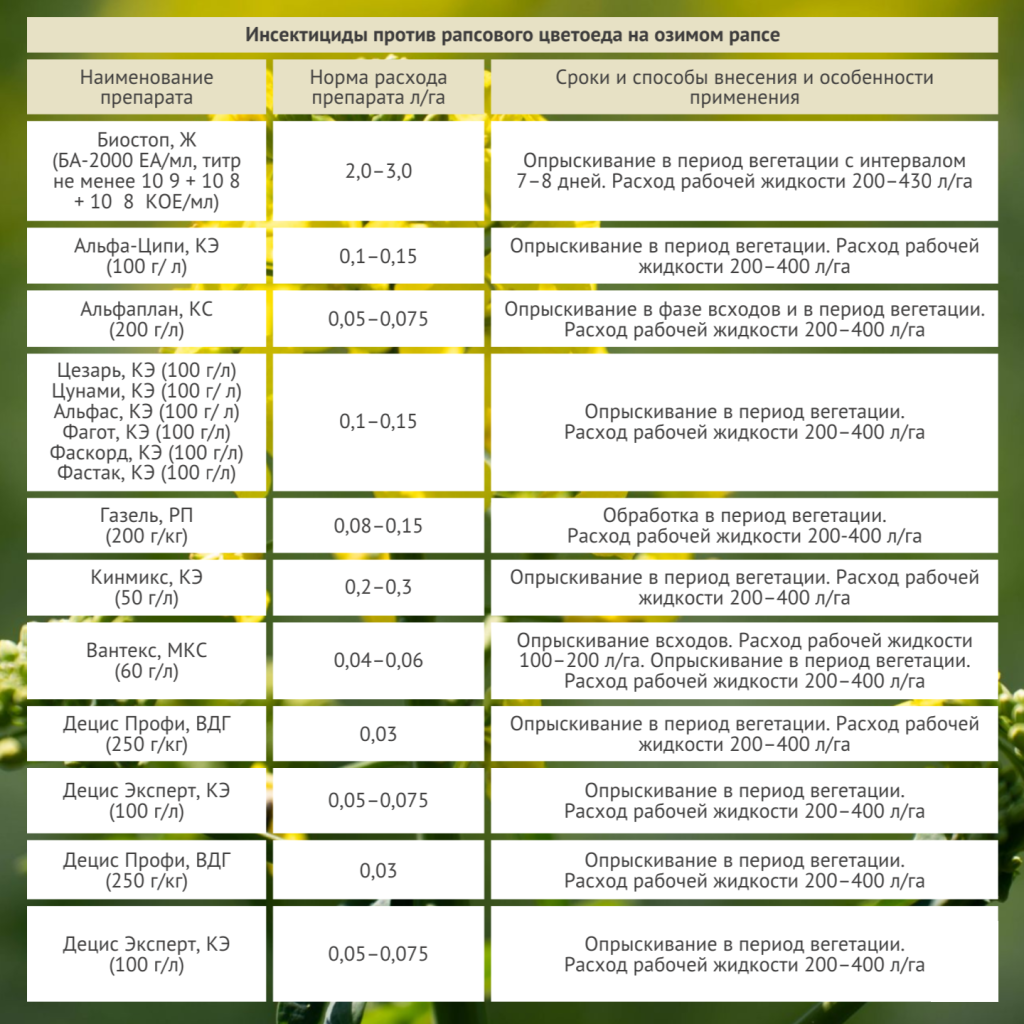 Таблица 1.png