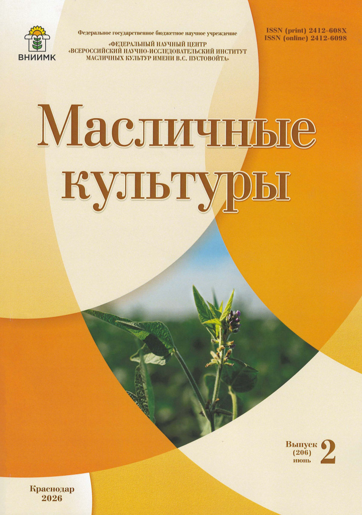 обложка 206.jpg