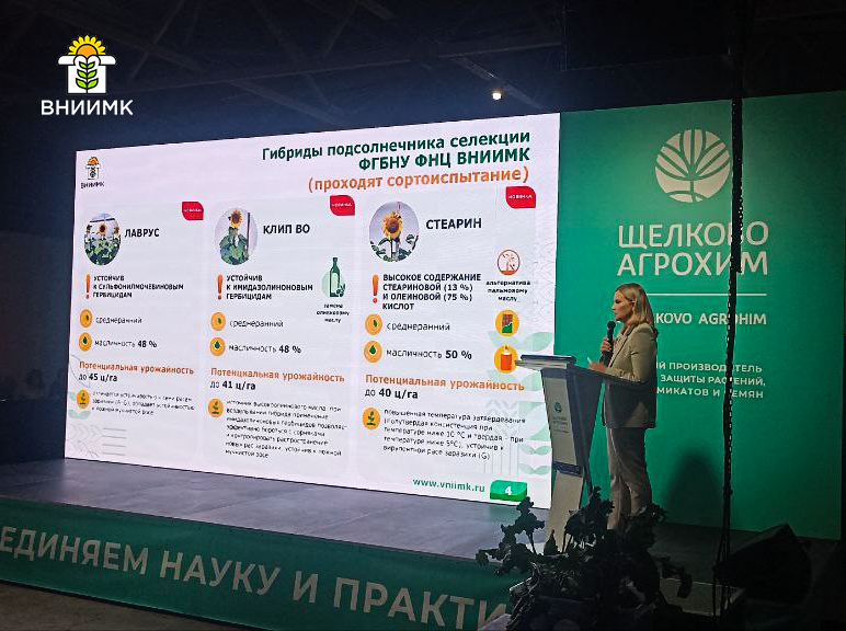 Министр сельского хозяйства РФ оценила гибриды подсолнечника ВНИИМК на форуме «Русское поле – 2024».jpg Министр сельского хозяйства РФ оценила гибриды подсолнечника ВНИИМК на форуме «Русское поле – 2024».jpg