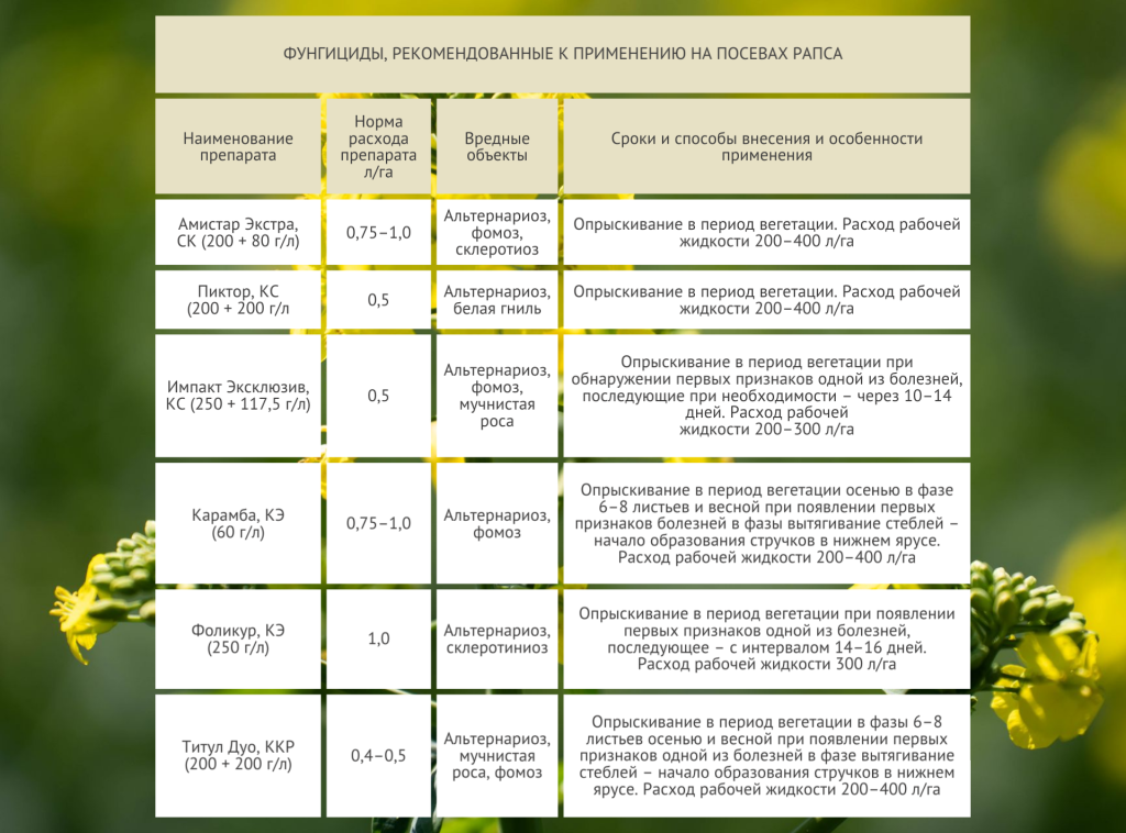 Рапс таб. 1.png