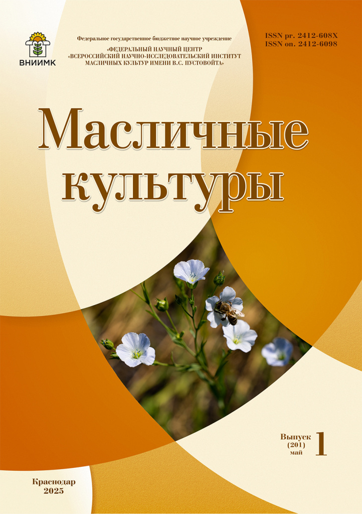 Обложка на сайт.jpg