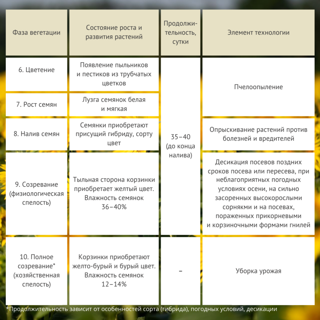 Подсолнечник таблица 2.png