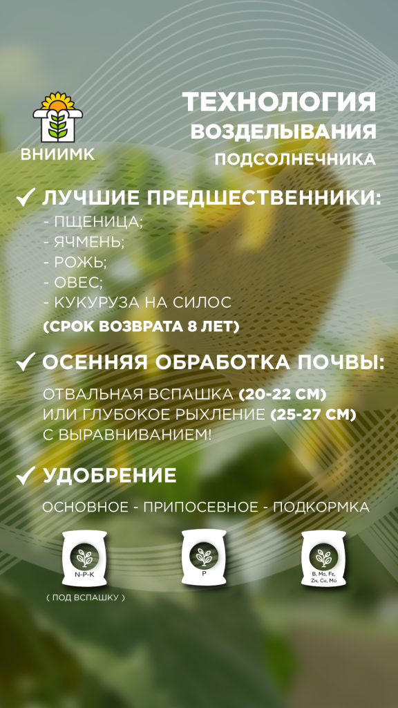 Технология-возделывания-подсолнечника.png