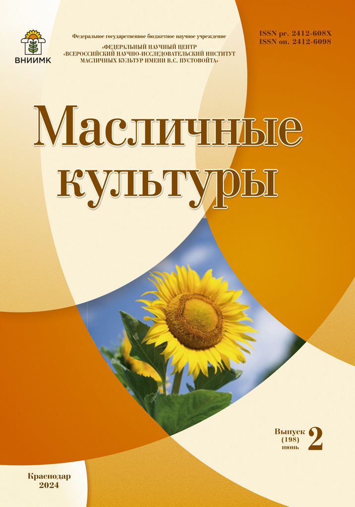ОБЛОЖКА_198.jpg