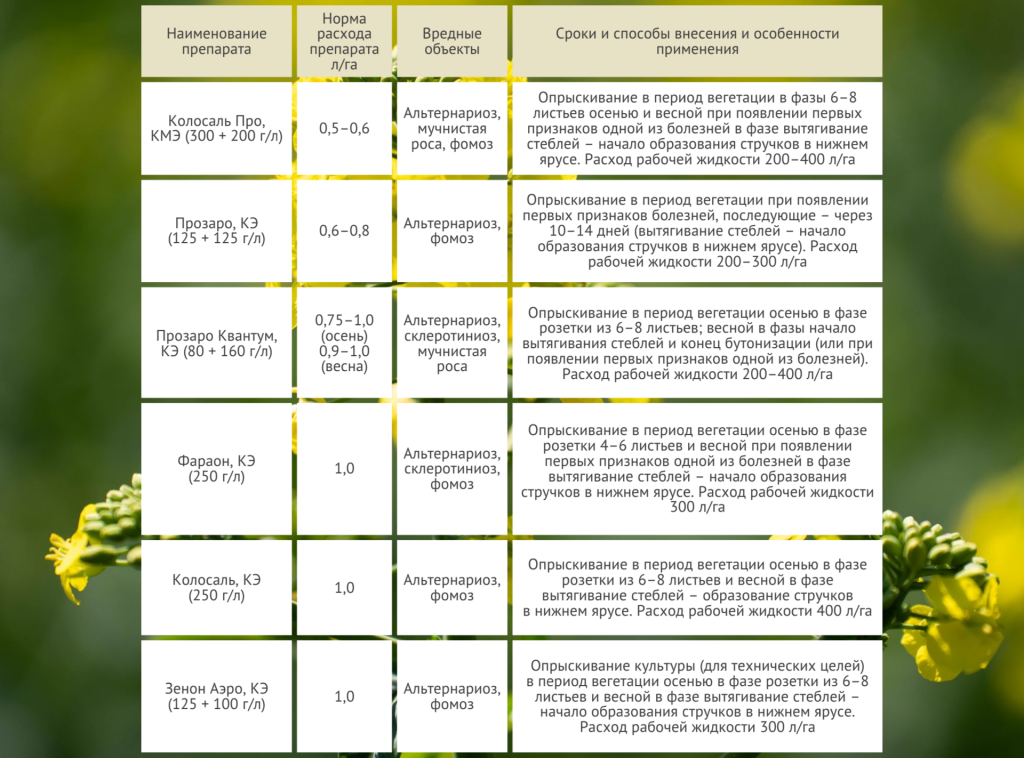 Рапс таб. 2.png