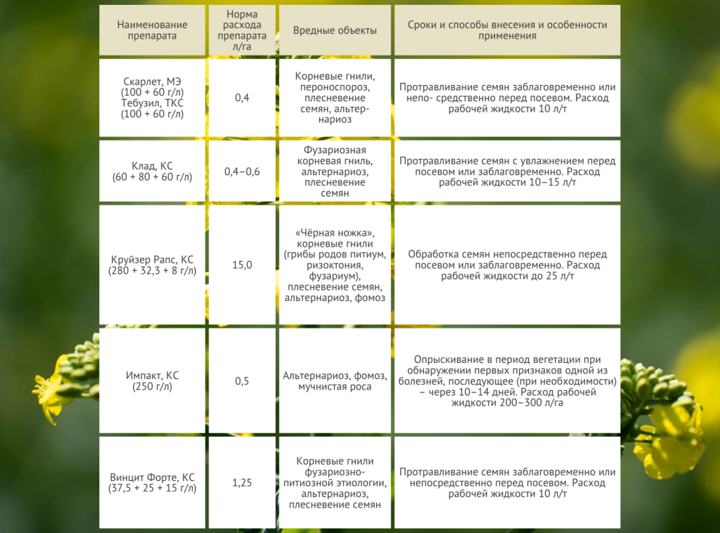 Рапс таб. 3.png