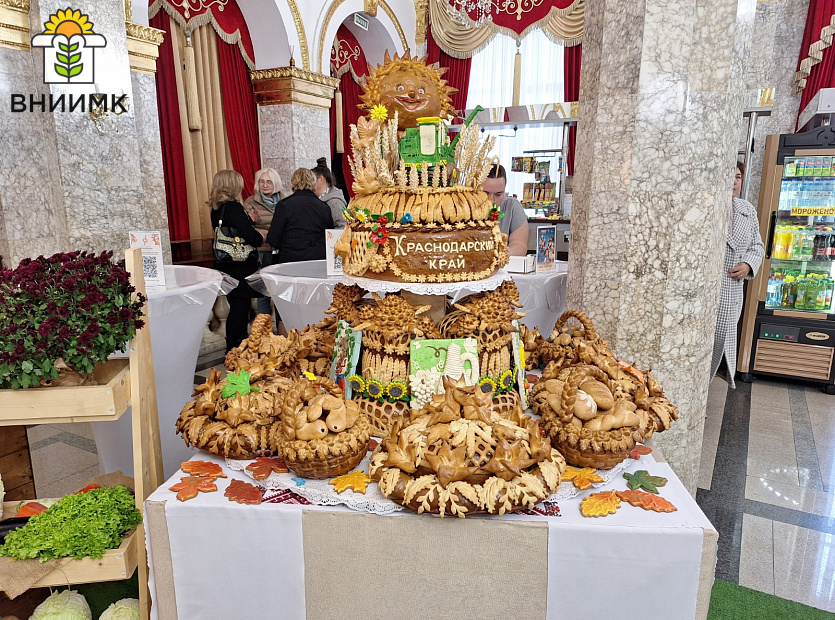 Zaslugi-sotrudnika-VNIIMK-otmecheny-na-kraevom-prazdnike-urozhaya-5