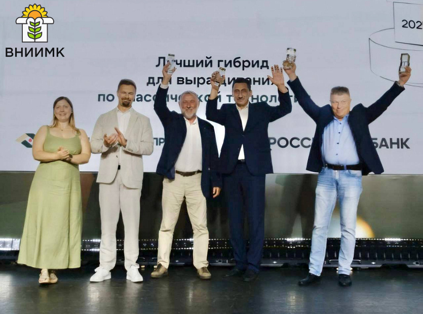 Gibridy-podsolnechnika-kubanskoy-selektsii-priznany-luchshimi-3