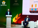 Использование семян отечественной селекции в условиях засухи