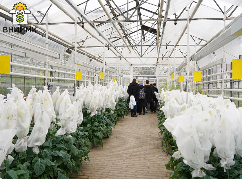 Pozdravlyaem-uchenikov-SHkoly-molodykh-uchenykh-s-vypuskom-7