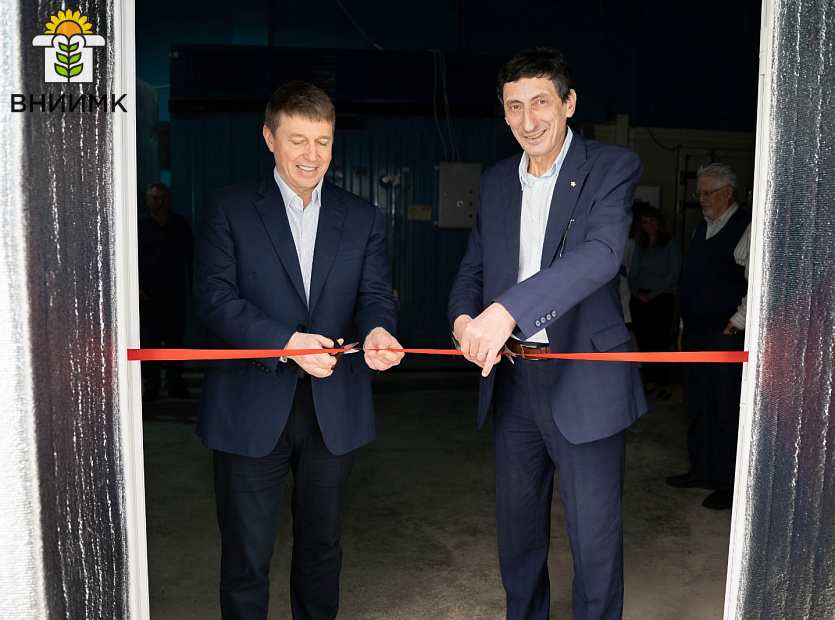 Ученые-ВНИИМК-проводят-эксперимент-по-выращиванию-подсолнечника-гидропонным-способом