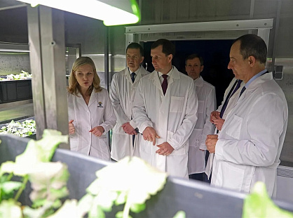 Председатель ЗСК оценил потенциал ведущего федерального научного центра в области селекции и семеноводства масличных культур