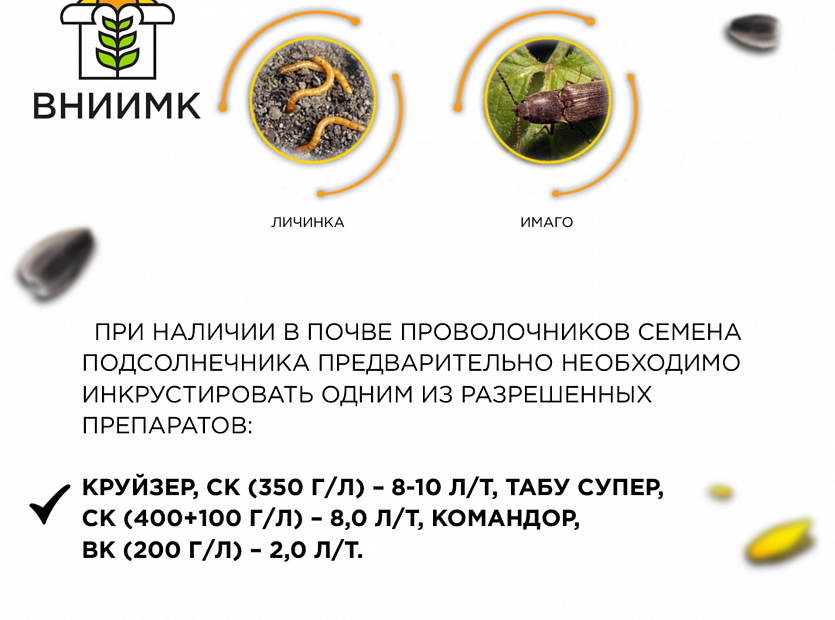 Как-защитить-свои-посевы(подсолнечник)-3