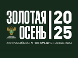 Делегация ВНИИМК принимает участие в выставке «Золотая осень»