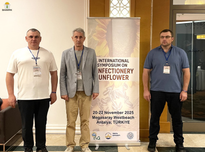 Ученые ВНИИМК приняли участие в Международном симпозиуме по кондитерскому подсолнечнику