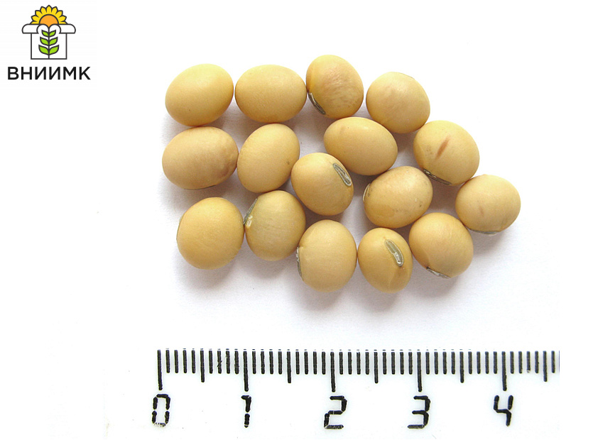 ТРИАДА-–-тройной-ответ-засухе,-холоду-и-неоптимальной-длине-дня-6