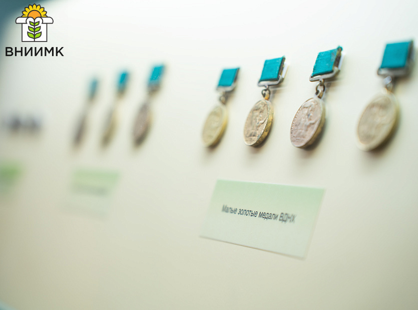 ВНИИМК-посетили-студенты-из-Кубанского-государственного-аграрного-университета2