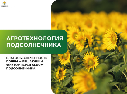 Влагообеспеченность почвы – решающий фактор перед севом подсолнечника 
