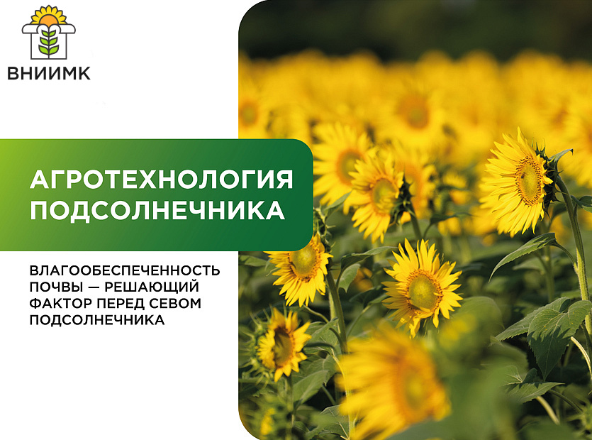 Vlagoobespechennost-pochvy---reshayushchiy-faktor-pered-sevom-podsolnechnika