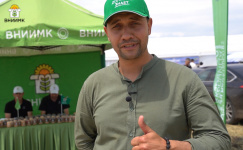 «Должков знает» и рекомендует семена ВНИИМК! 