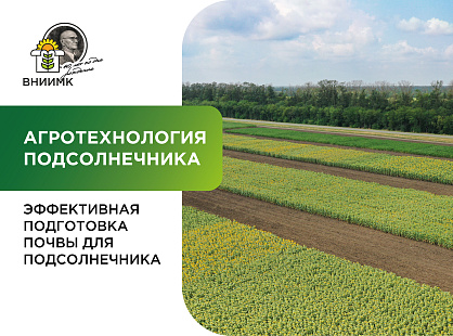 Агротехника почвы перед посевом подсолнечника