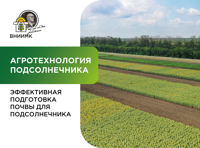 Effektivnaya-podgotovka-pochvy-dlya-podsolnechnika-08