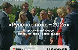 Ученые ВНИИМК примут участие в форуме «Русское поле» в Казани