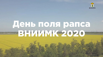 ДЕНЬ ПОЛЯ РАПСА ВНИИМК 2020