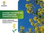 Минеральное питание озимого рапса