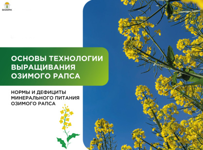 Минеральное питание озимого рапса