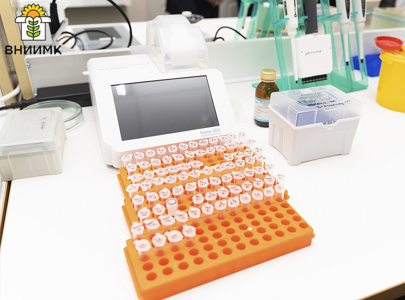 Profilnyy-komitet-ZSK-otsenil-perspektivy-razvitiya-selektsionnoy-raboty-v-regione-7