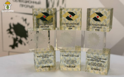 Гибриды подсолнечника кубанской селекции признаны лучшими