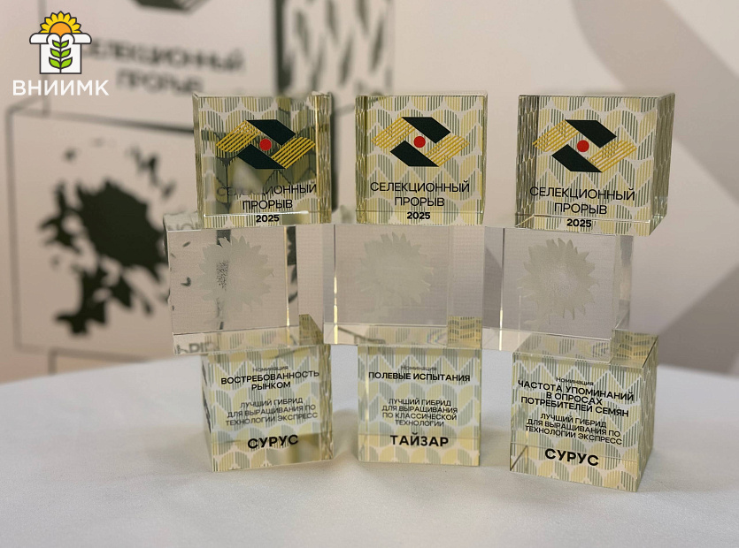 Gibridy-podsolnechnika-kubanskoy-selektsii-priznany-luchshimi