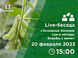 Live-беседа «Основные болезни сои и методы борьбы с ними»