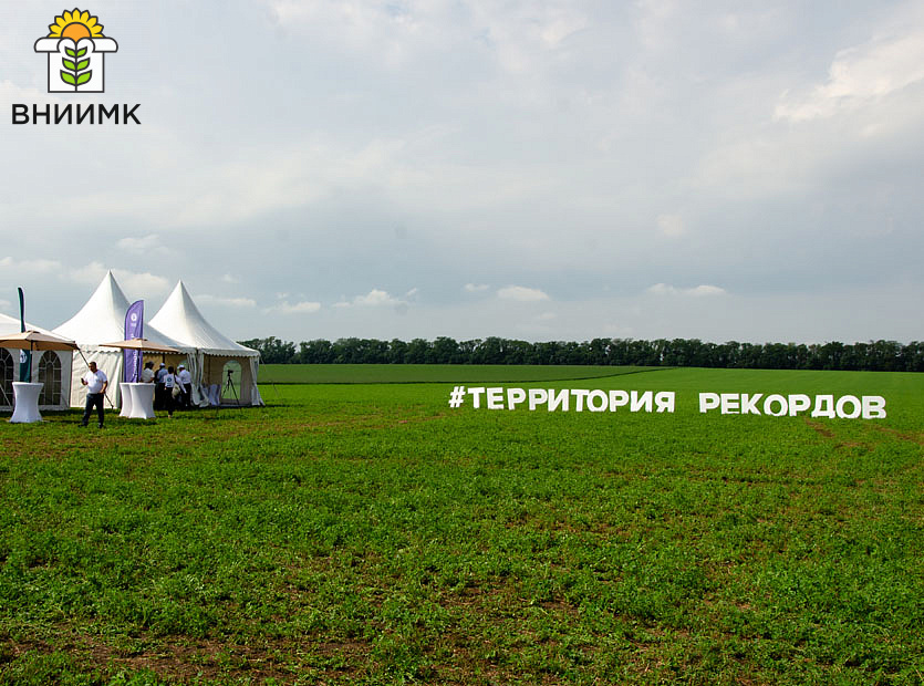 территория-рекордов