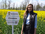Первый высокоолеиновый сорт озимого рапса Оливин