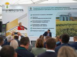 Создание новых конкурентных сортов и гибридов масличных культур на основе запросов рынка