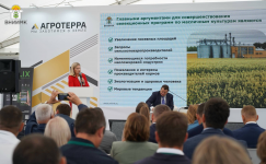 Создание новых конкурентных сортов и гибридов масличных культур на основе запросов рынка