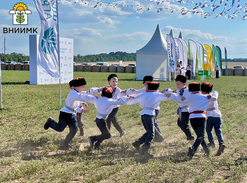 День-поля-ВНИИМК-2024-посетило-более-300-человек-7