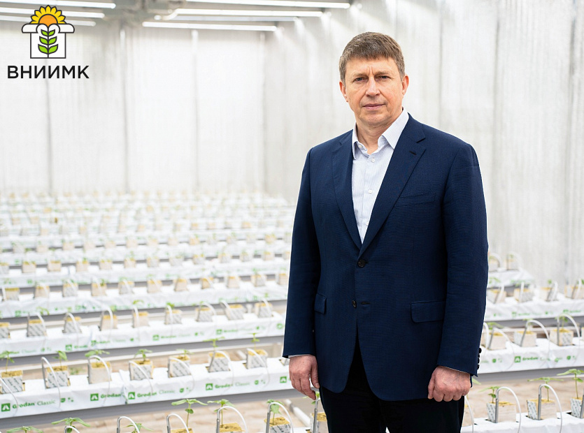 Ученые-ВНИИМК-проводят-эксперимент-по-выращиванию-подсолнечника-гидропонным-способом-1