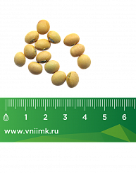  Иней