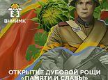 Роща "Памяти и славы"