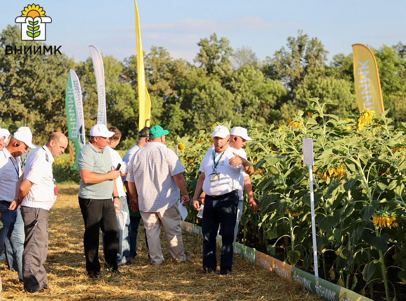 День-поля-ВНИИМК-2024-посетило-более-300-человек-9