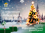 С Новым 2026 годом и Рождеством Христовым!
