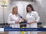 О деталях работы ВНИИМК в «Деталях» телеканала «Кубань 24»