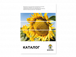 Каталог
